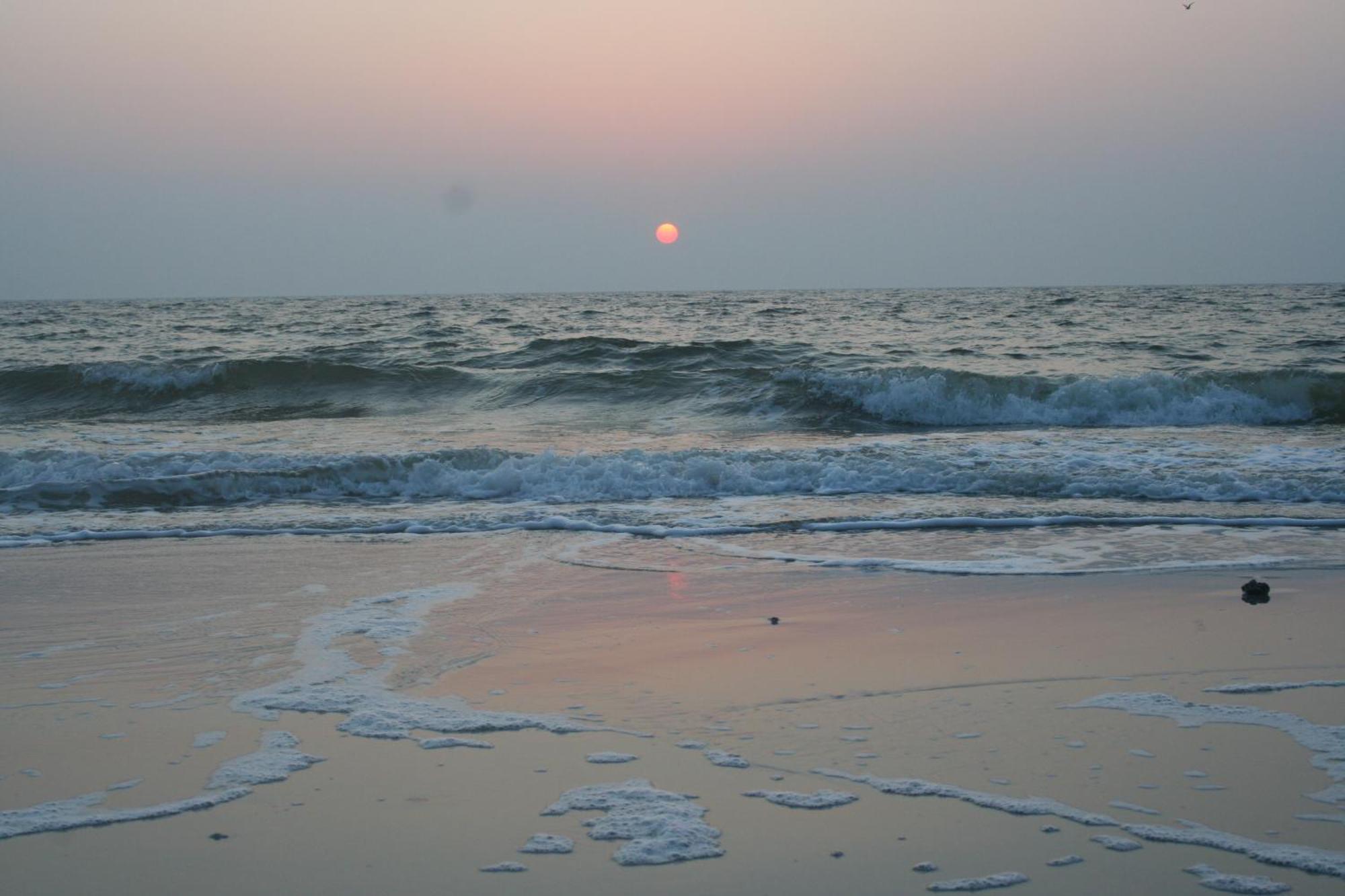 Ostsee Ferienhaeuser Waabs Oda fotoğraf